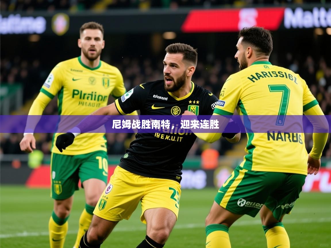 2026ued体育直播尼姆战胜南特，迎来连胜  第1张